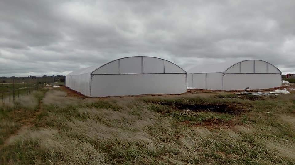 Greenhouse Tunnels
