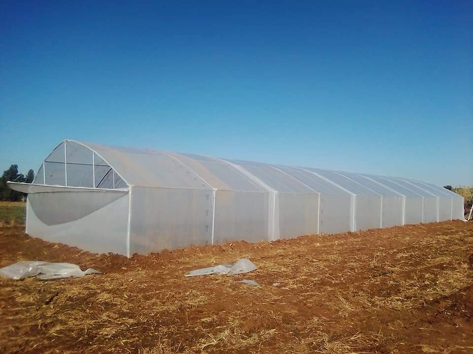 Greenhouse tunnels