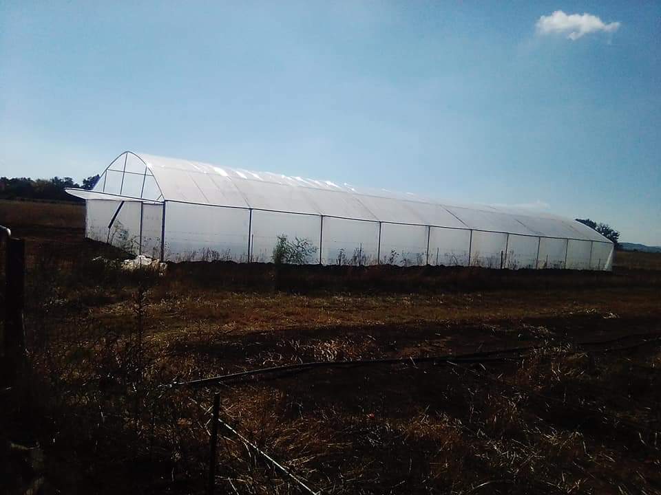 Greenhouse Tunnels